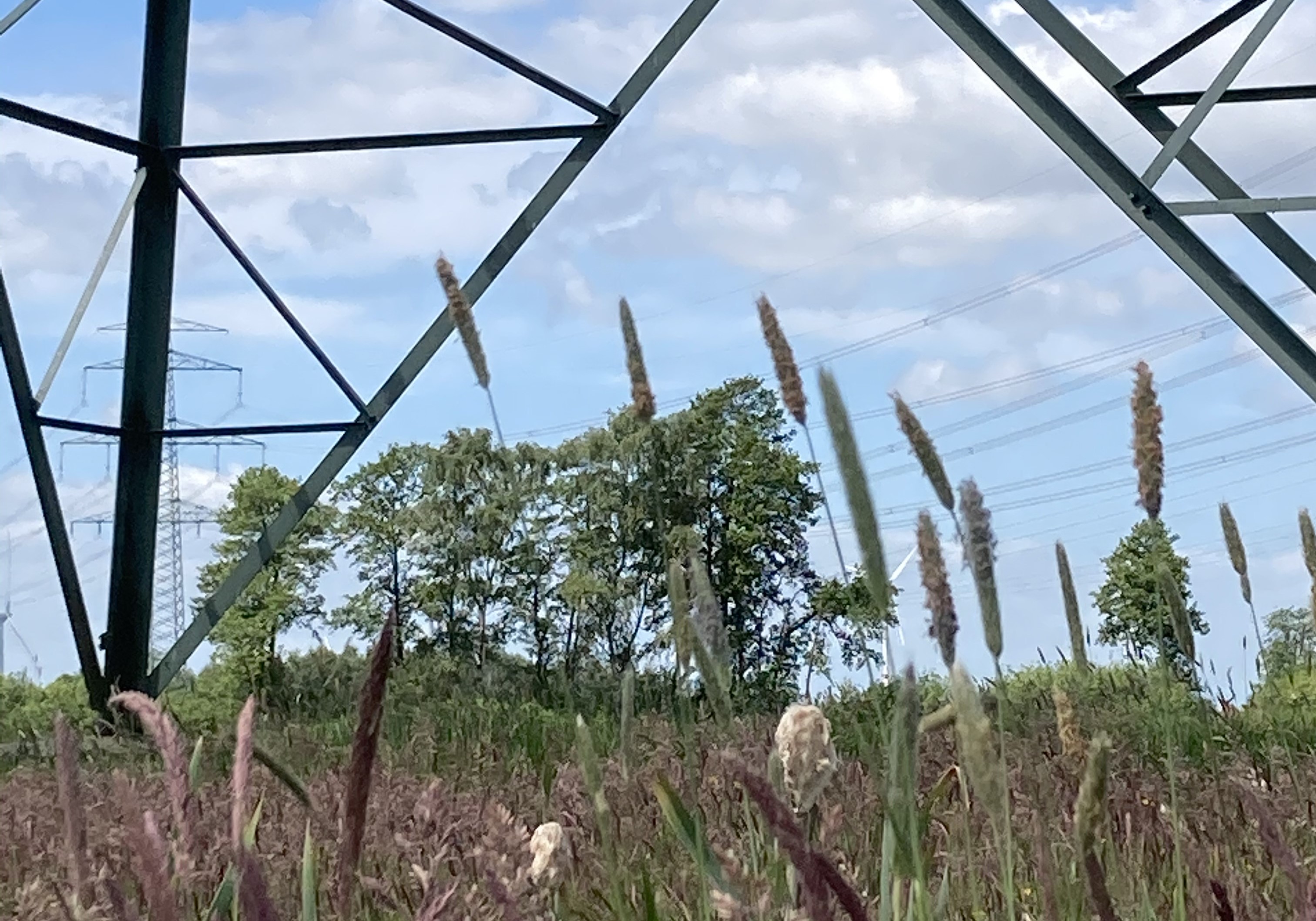 Course Image Individualarbeitsrecht (Prof. Dr. Eva Kocher) - WiSe 2025/2026