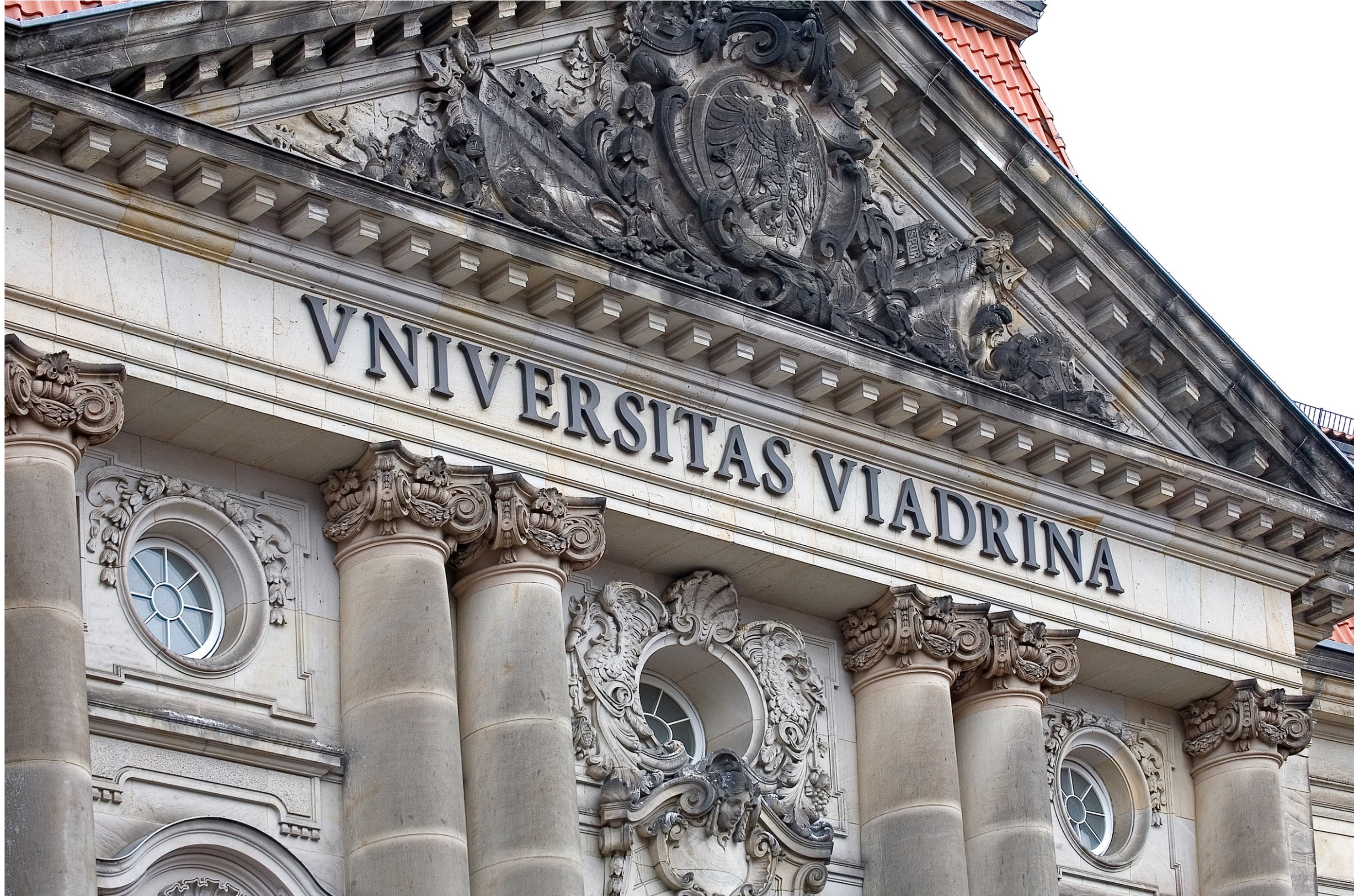 Course Image Viadrina Applied Peace and Conflict Studies (ViAPACS) 4 – 2026