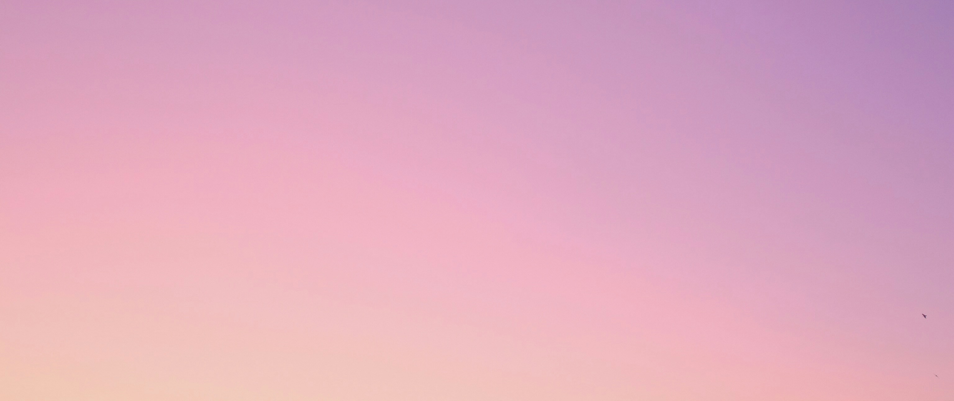 Course Image Zotero Workshop: Manage and Cite References efficiently - Sommersemester 2026