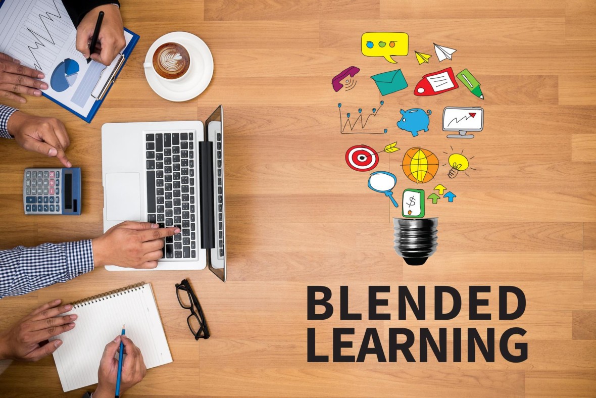 Course Image Viadrina Fast Track 2026 /// Blended-Learning-Testraum